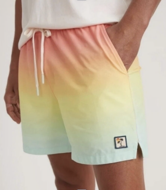 Marine Layer ombre swim shorts